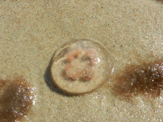 DSCN3762.JPG