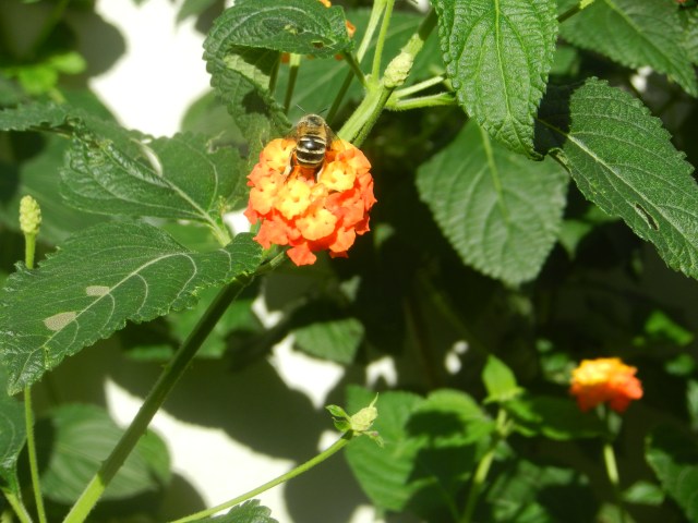 dscn3799