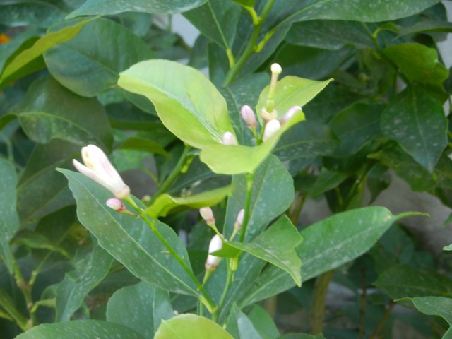 dscn3802