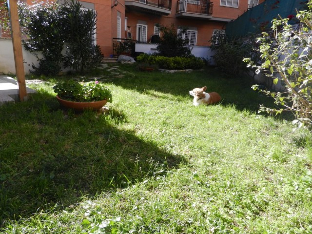 UNADJUSTEDNONRAW_thumb_e1bf