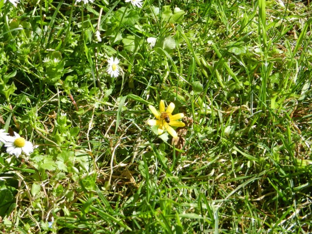 UNADJUSTEDNONRAW_thumb_e1c3