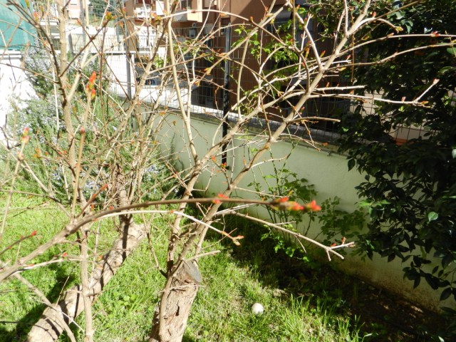 UNADJUSTEDNONRAW_thumb_e1c6