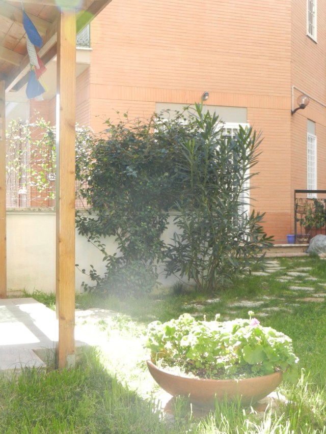 W8jbUzF1T7moRp%KOAvl+Q_thumb_e1c4