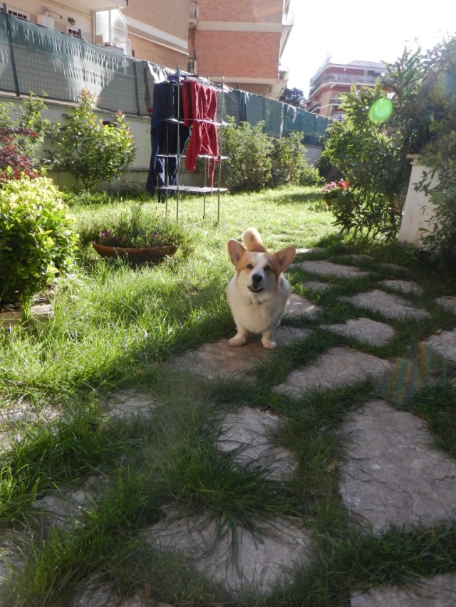 FTFkUQqeSgGzrhC5xxfd7A_thumb_e2bd