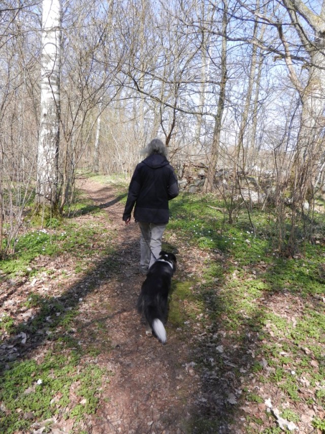 HT+su1BKRD6GE6XsZ%He%g_thumb_e2a5