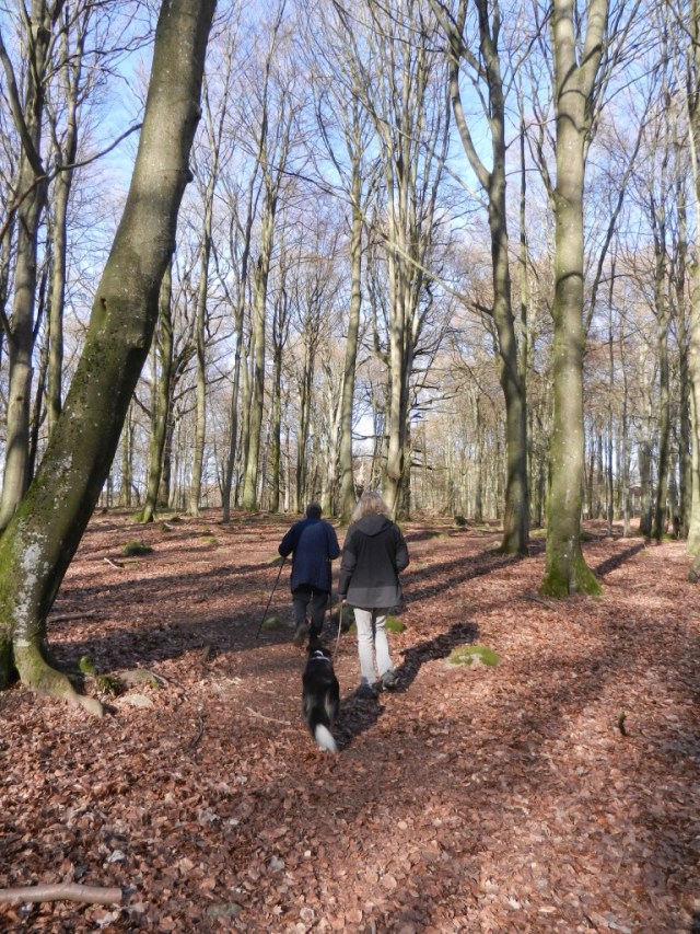 knlrHNc+SMWdbFLfCk+wnA_thumb_e2ad