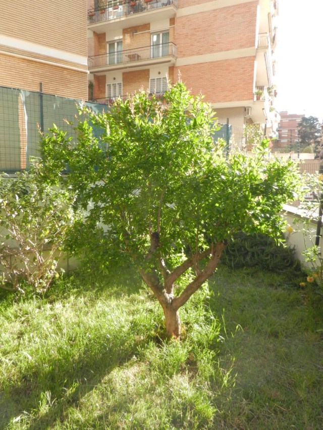 Nnx34JYfQ8CAKYDIM7Znsg_thumb_e2ba