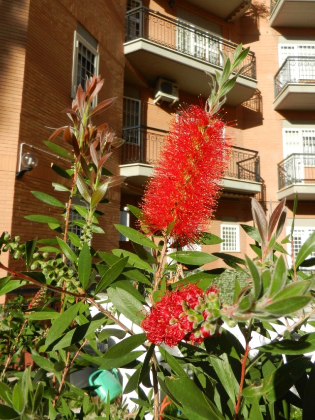 pUvf%kXTSgawEdowd2e+pA_thumb_e2b3