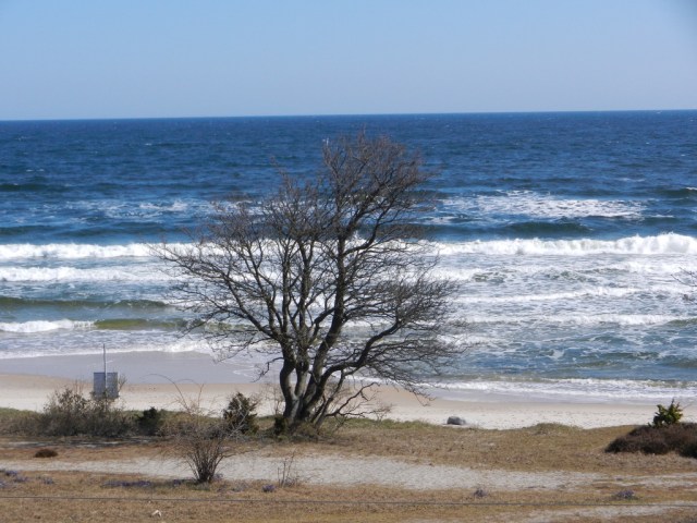 UNADJUSTEDNONRAW_thumb_e299