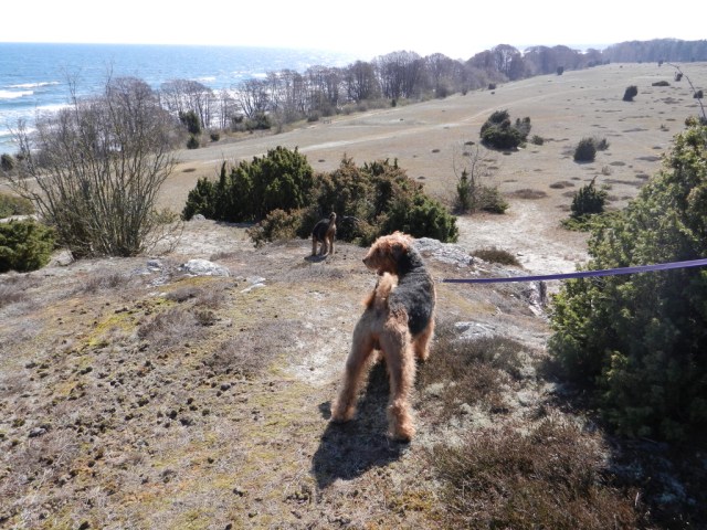 UNADJUSTEDNONRAW_thumb_e29b