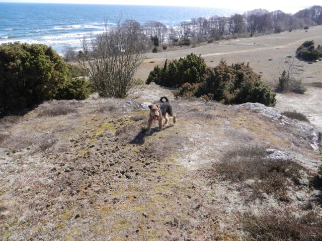 UNADJUSTEDNONRAW_thumb_e29c