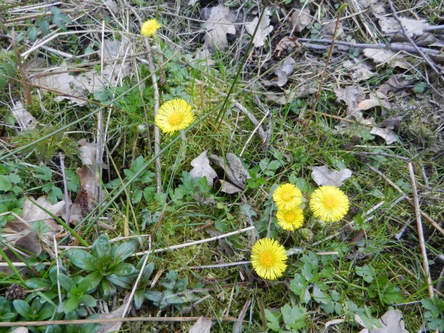 UNADJUSTEDNONRAW_thumb_e2a9