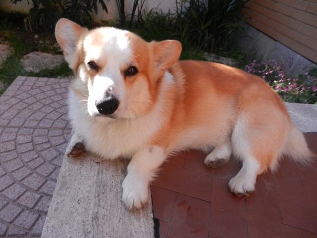 UNADJUSTEDNONRAW_thumb_e2b0