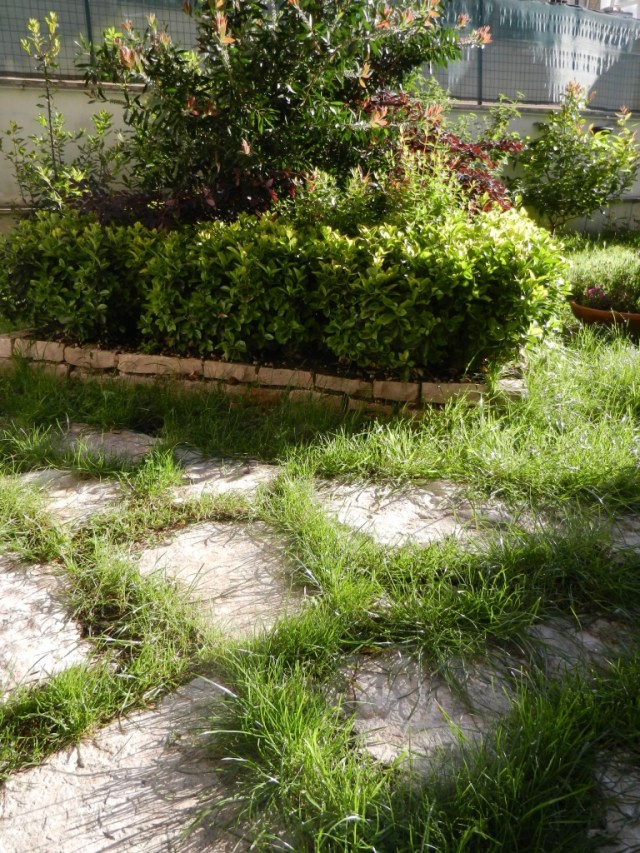 z%gEjoaTSaO6RsvUPeNYEw_thumb_e2bb