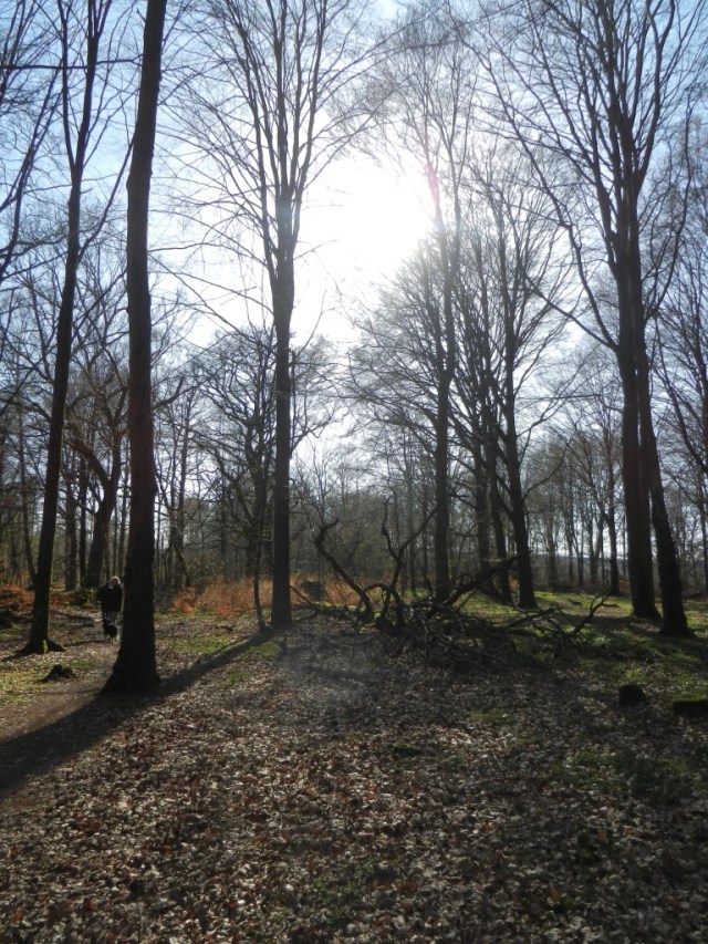 ZV5K3NwGQcqnfkj1zBshcg_thumb_e2aa