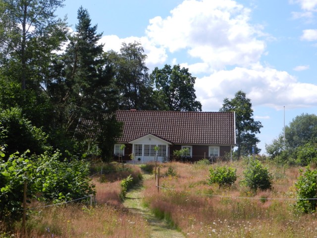 UNADJUSTEDNONRAW_thumb_e37e