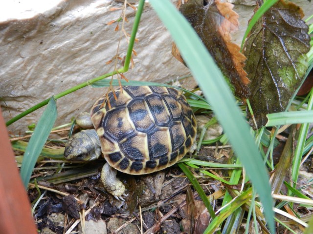 UNADJUSTEDNONRAW_thumb_e5ee