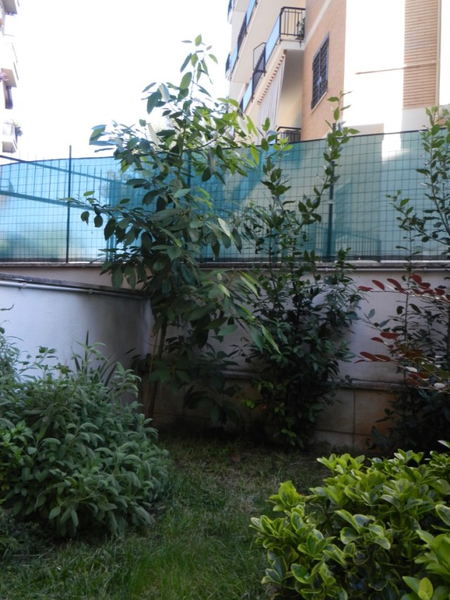 G9uyvCKzS++vu9n5EdcWnQ_thumb_e5f7