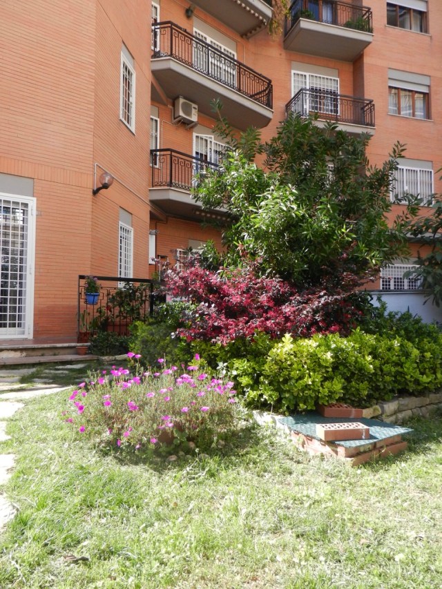 46B45C18-5B9B-4005-BFAD-21F99249AD9F_1_105_c