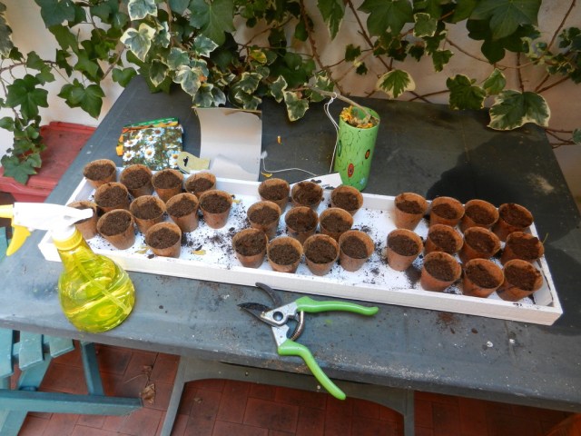 7CDBF239-5F02-425D-BB0F-8A28471FE079_1_105_c