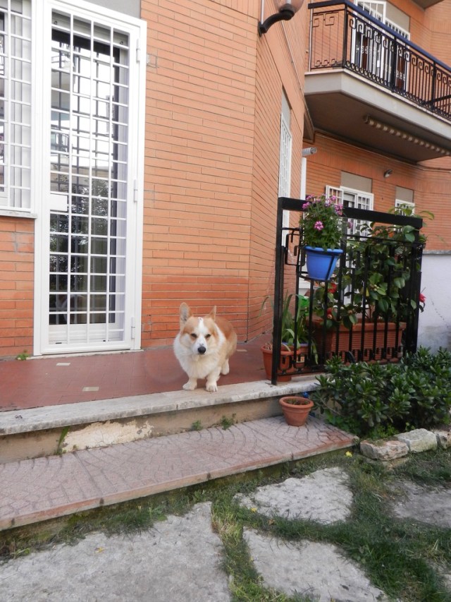 99BFE8FB-A896-4F93-9600-F782E19D2AA7_1_105_c