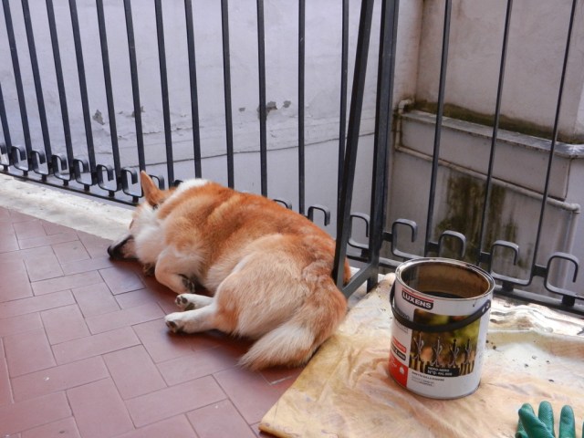 AB243CF8-DC31-4322-B408-7F32392D3938_1_105_c