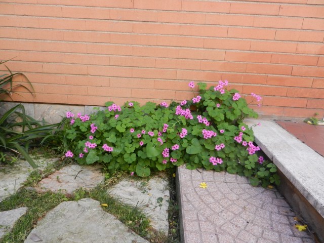 AF382CFA-6678-4693-B01B-B37144CD9F6A_1_105_c